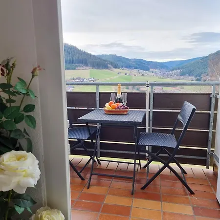 Apartment J&l Flat With Pool In Baiersbronn